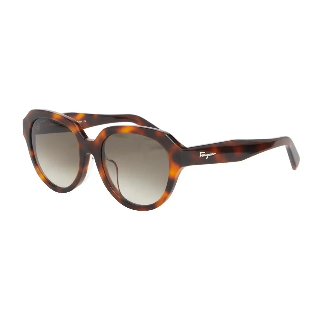 Stylish Chic Salvatore Ferragamo Women`s Sunglasses SF906SA 214 Tortoise Brown