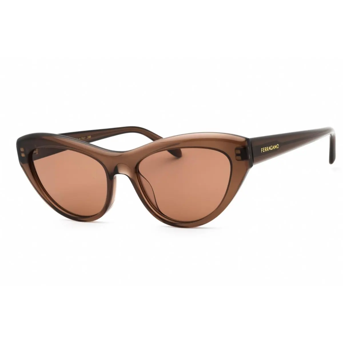 SF1103-232-55 Sunglasses Frame Size 55mm 140mm 17mm Brown by Salvatore Ferragamo