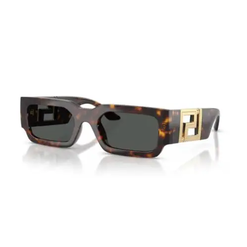 Versace 0VE4506U 108/87 Havana/dark Grey 54mm Men`s Sunglasses