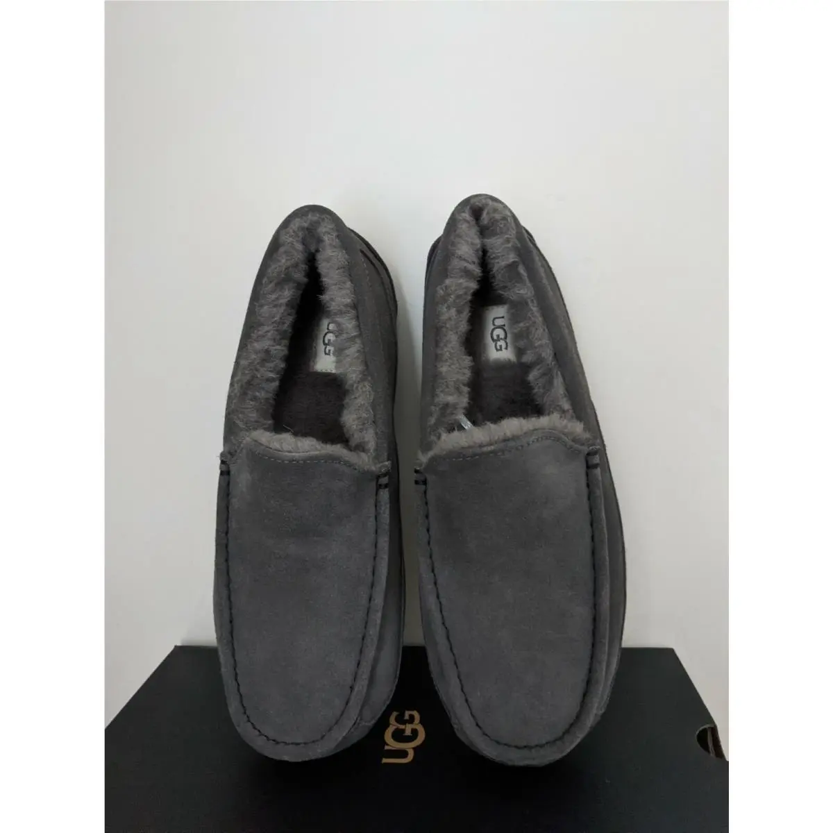 UGG shoes - Ugg Australia Ascot - Australia Ascot - Grey 1