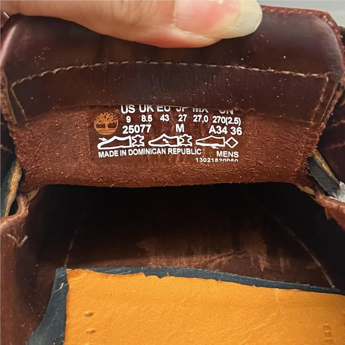 Timberland shoes - Timberland 25077 - 25077 - Brown 5