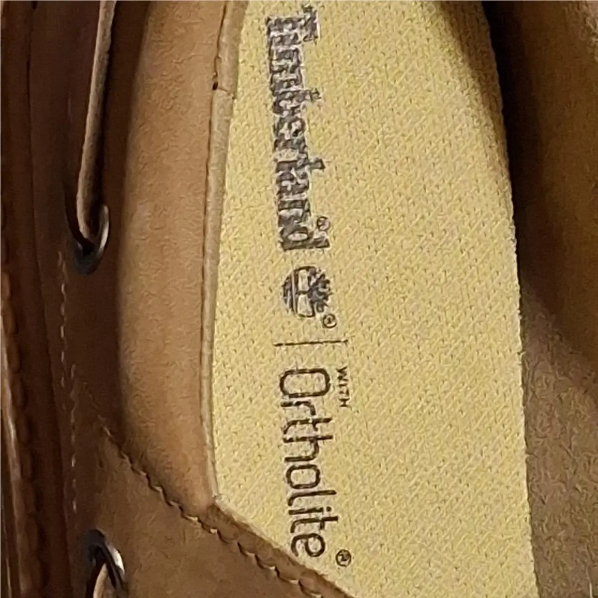 Timberland shoes - Street - Street - Brown (UPC: 197804702039) 13