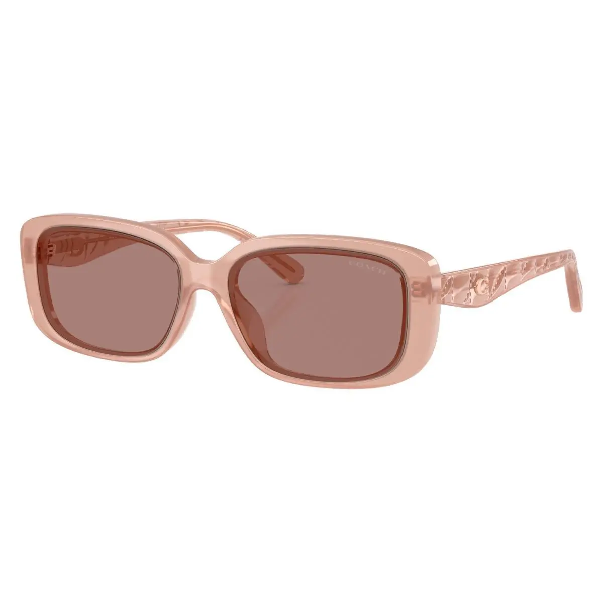 Coach Women`s 57mm Transparent Plum Sunglasses HC8444D-591473-57
