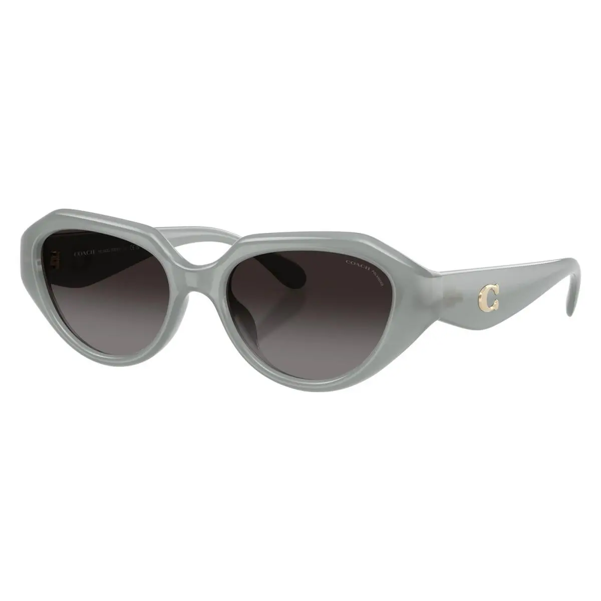 Coach Women`s 52mm Milky Merlot Sunglasses HC8433U-5905T3-52