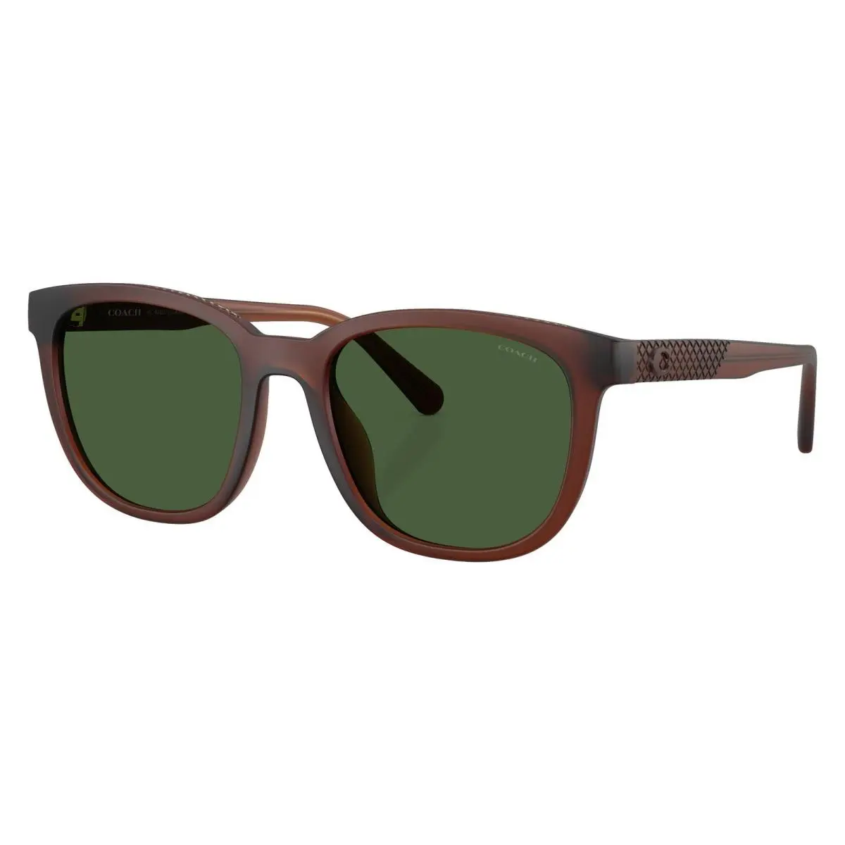 Coach Women`s 54mm Milky Caramel Sunglasses HC8442U-591171-54