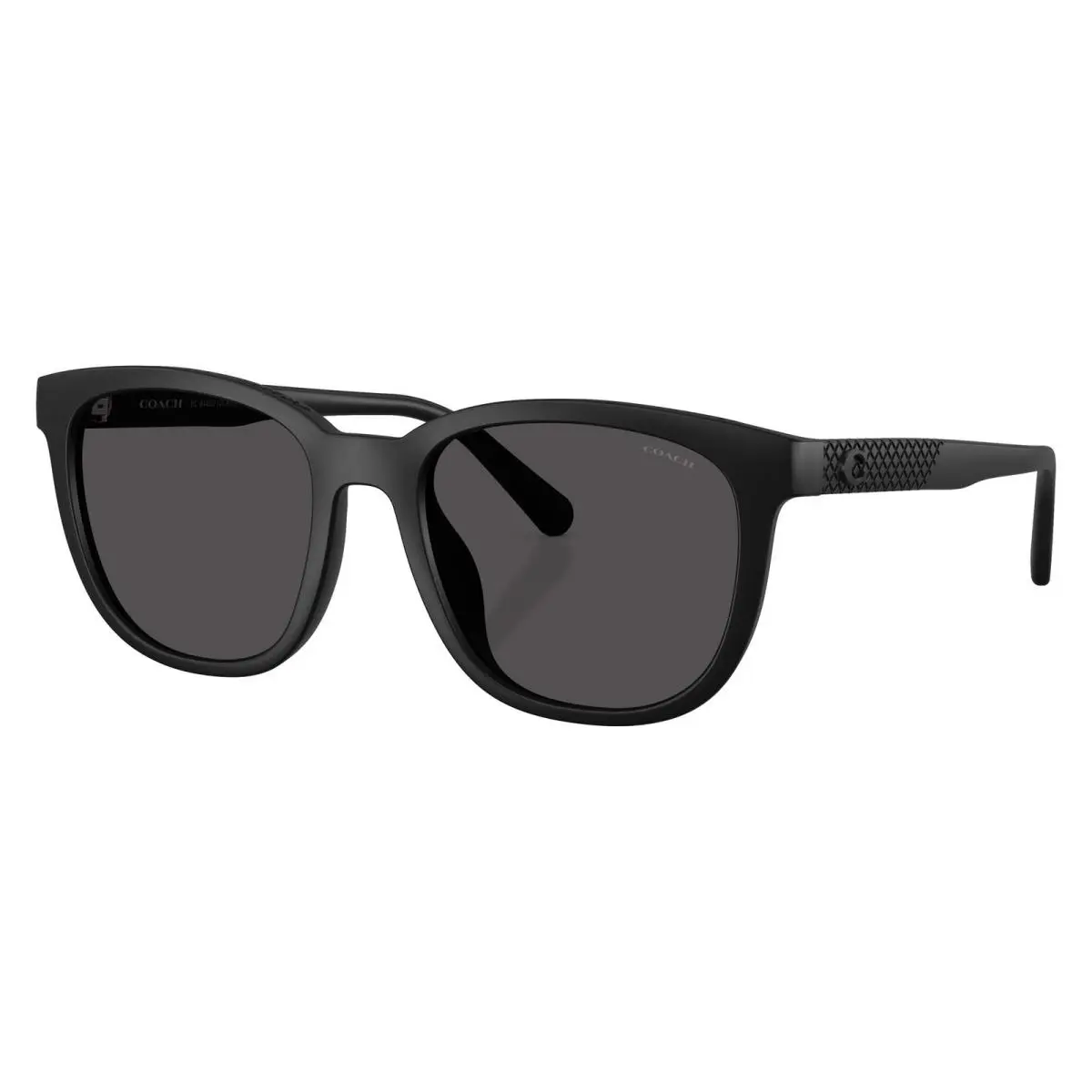 Coach Women`s 54mm Black Sunglasses HC8442U-500287-54