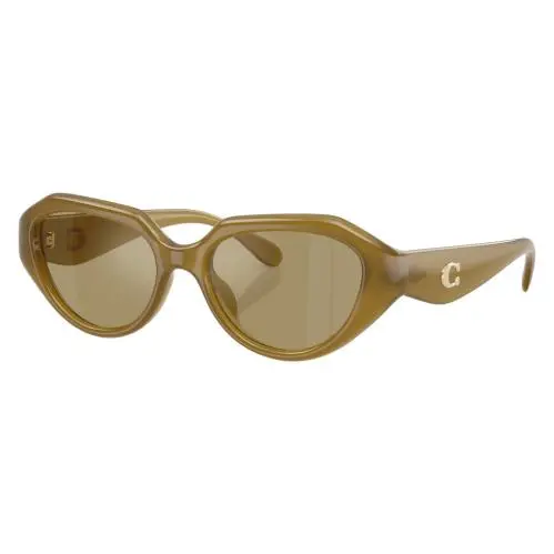 Women`s 52mm Dark Havana Floral Sunglasses HC8433U-590230-52 by Coach