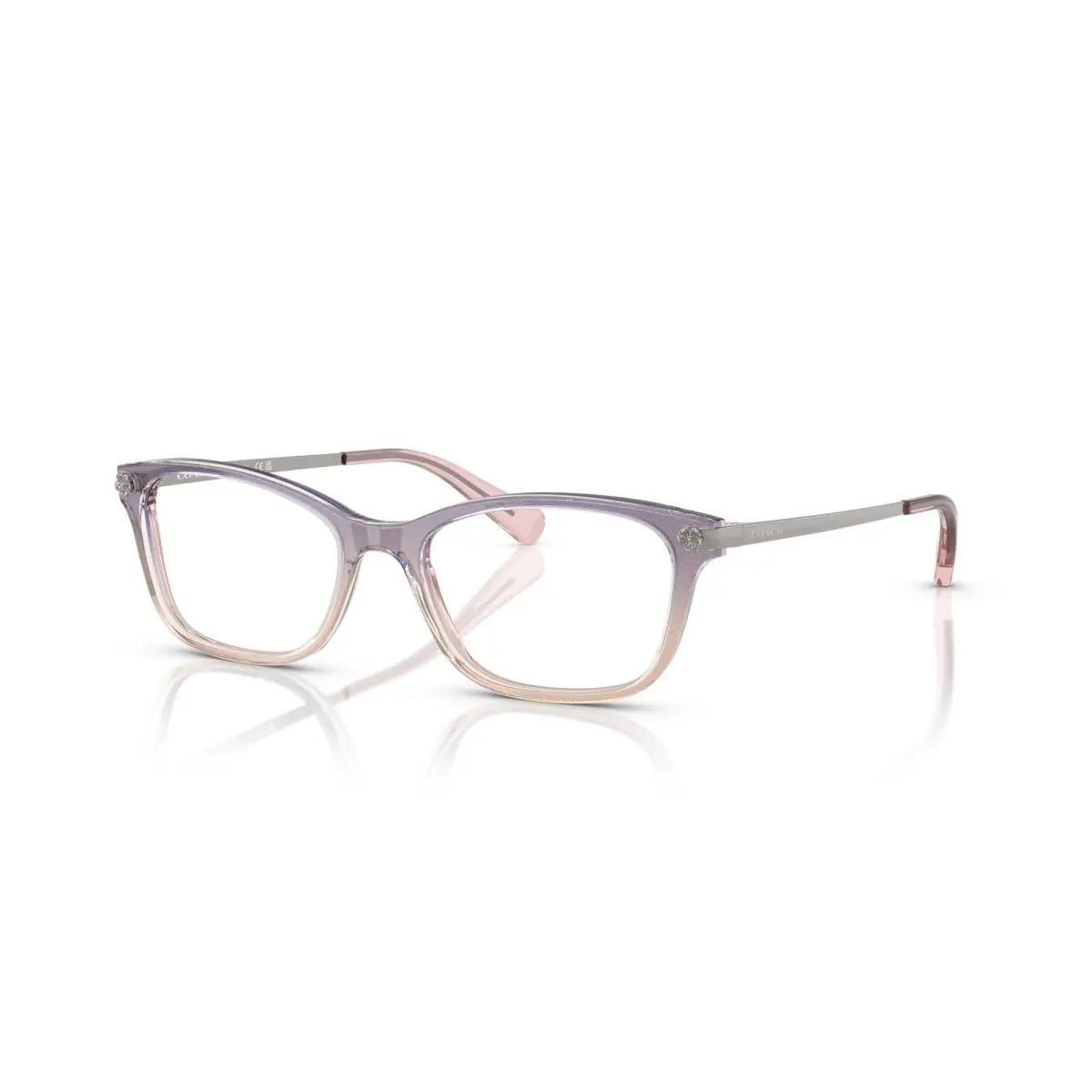 Coach 6142 5554 Violet