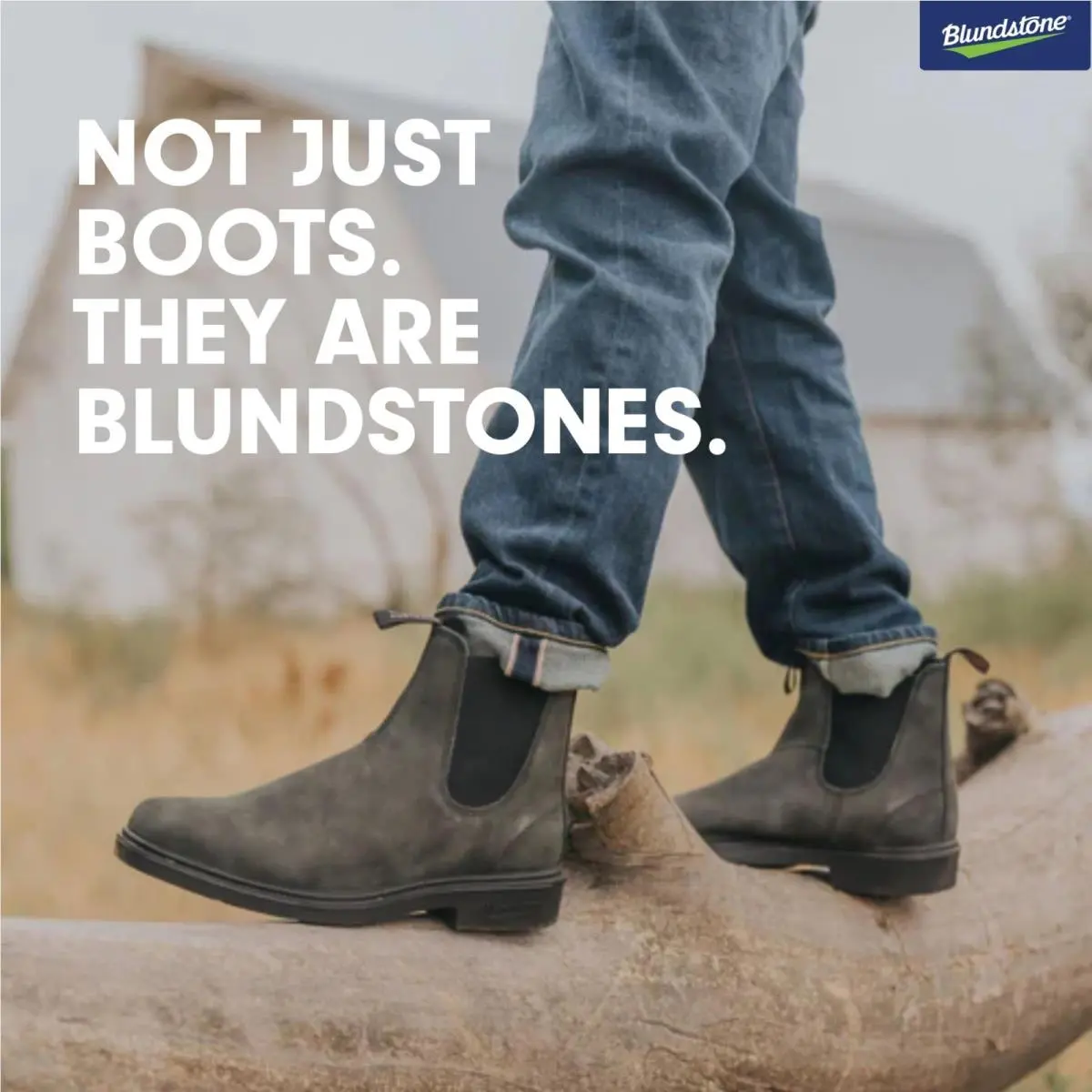 Blundstone shoes - Blundstone 1308 Dress Chelsea - Dress Chelsea - Black 4
