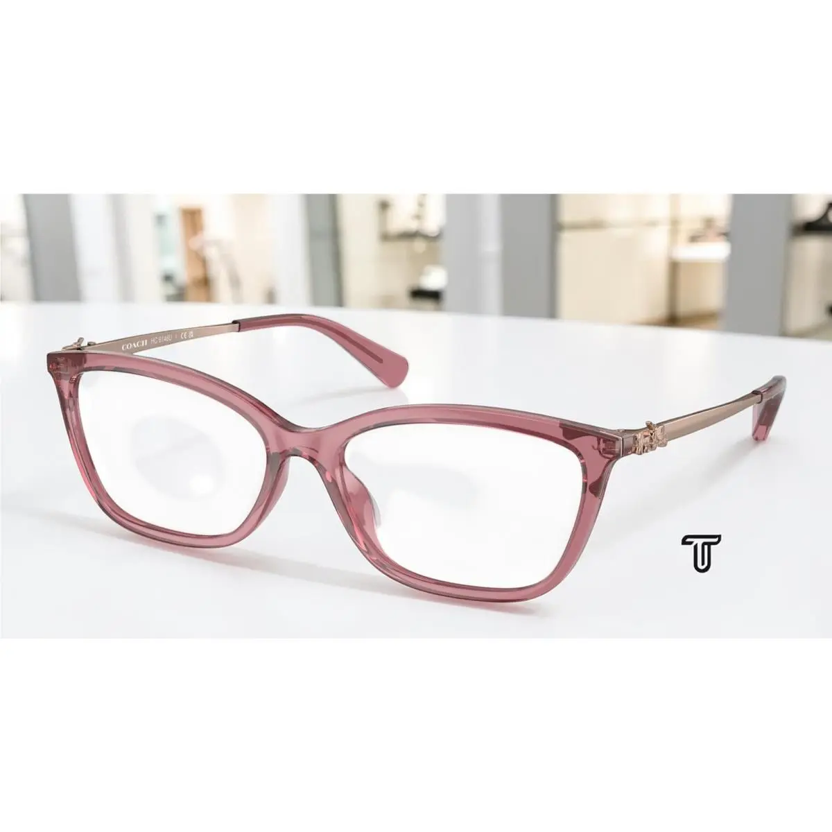 Coach HC6146U 5800 Transparent Berry Demo Lens 53 mm Women`s Eyeglasses