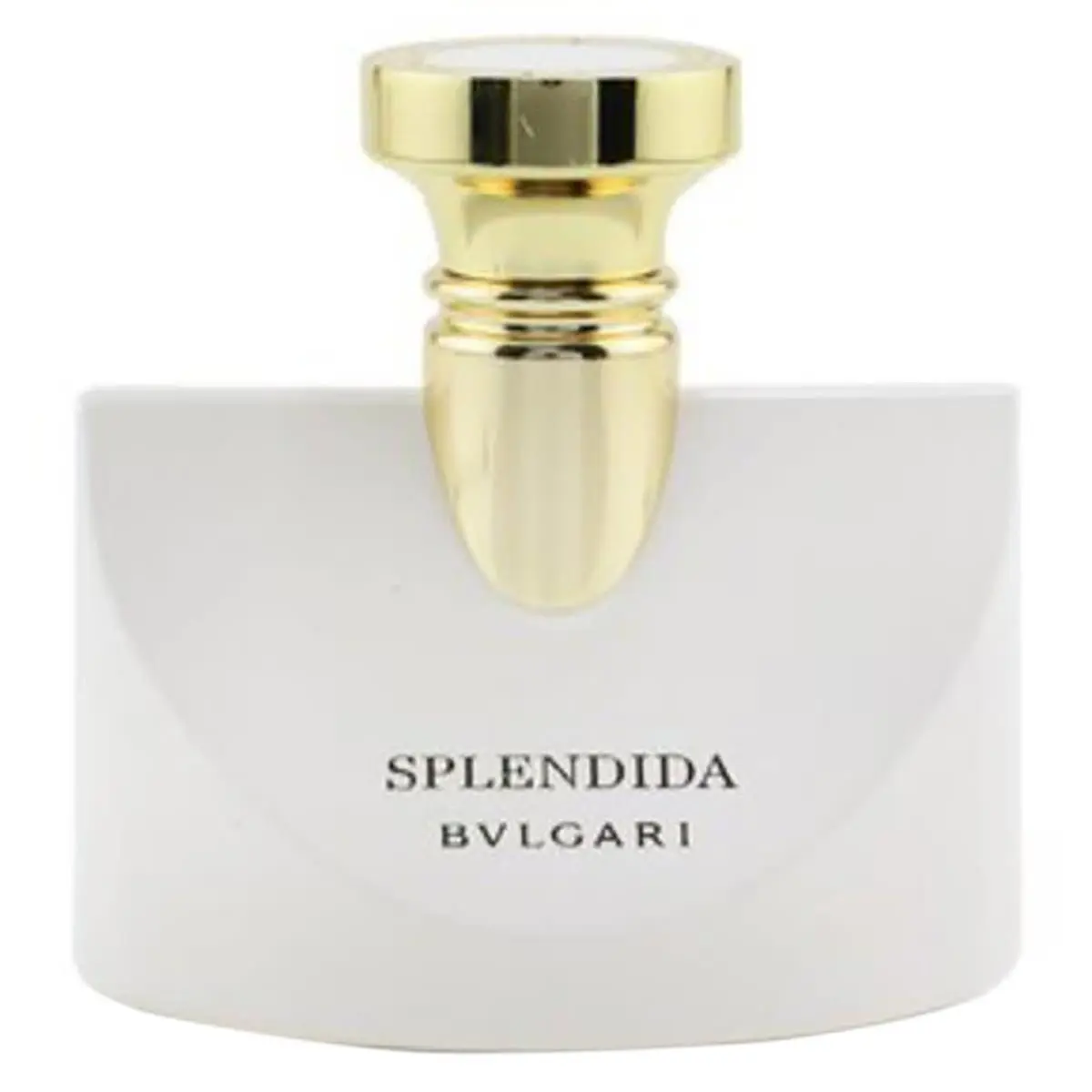 Bvlgari Ladies Splendida Patchouli Tentation Edp Spray 1.7 oz Fragrances