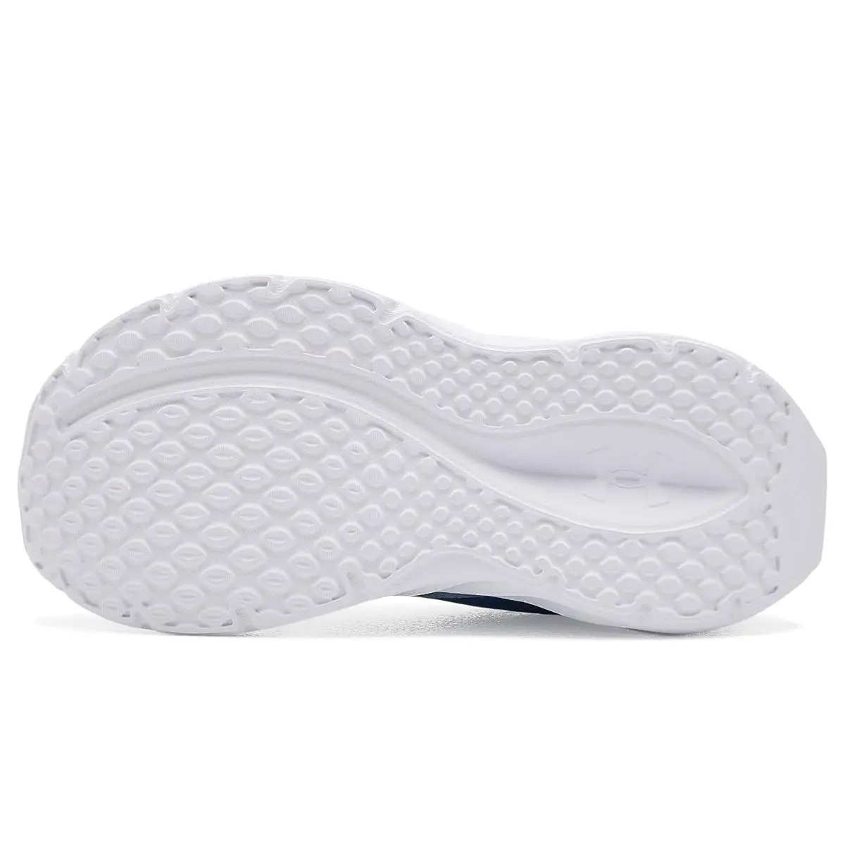 Under Armour shoes - Halo Gray/Halo Gray/White 31