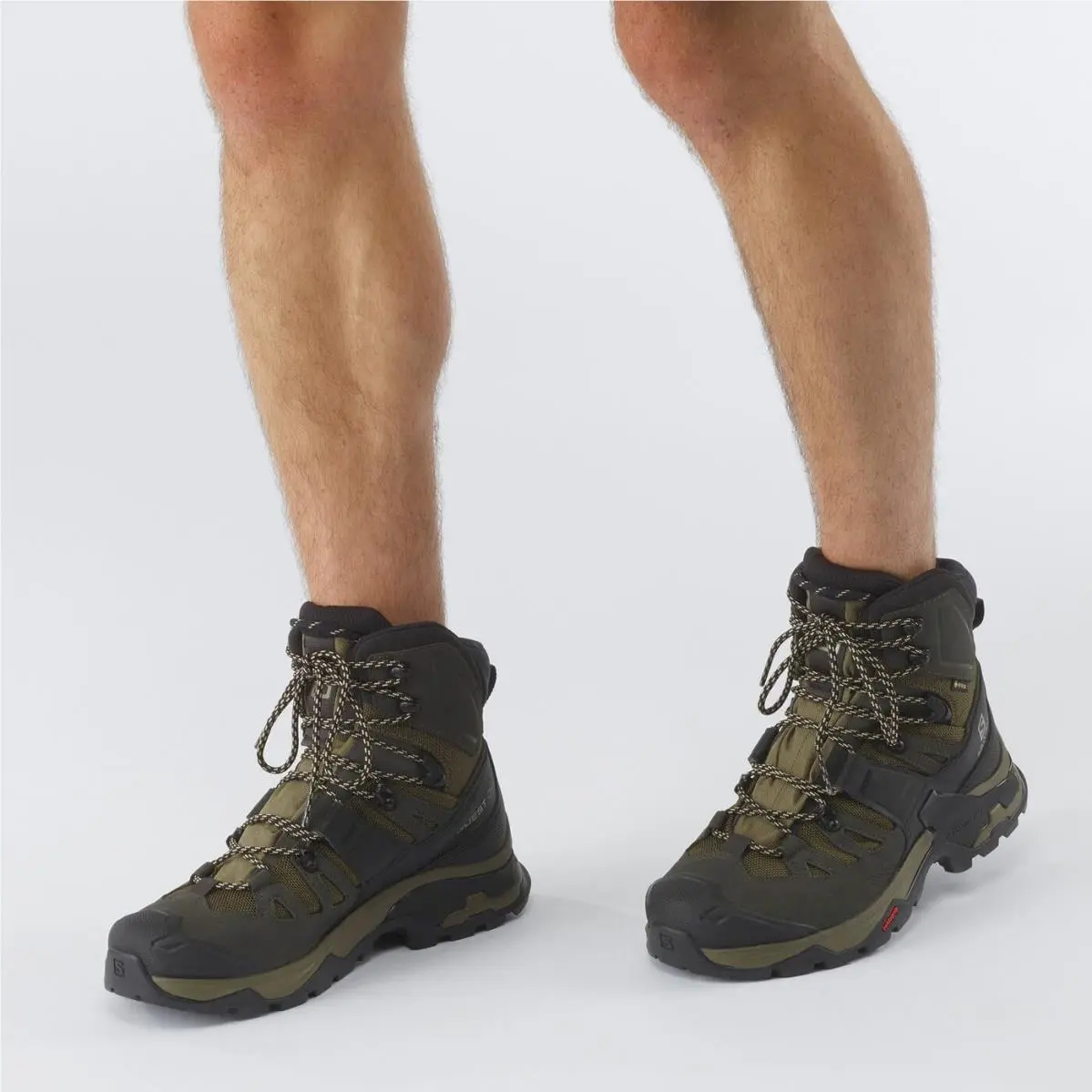 Salomon shoes - Quest 4 GORE-TEX - Quest - Green (UPC: 0193128563868) 0