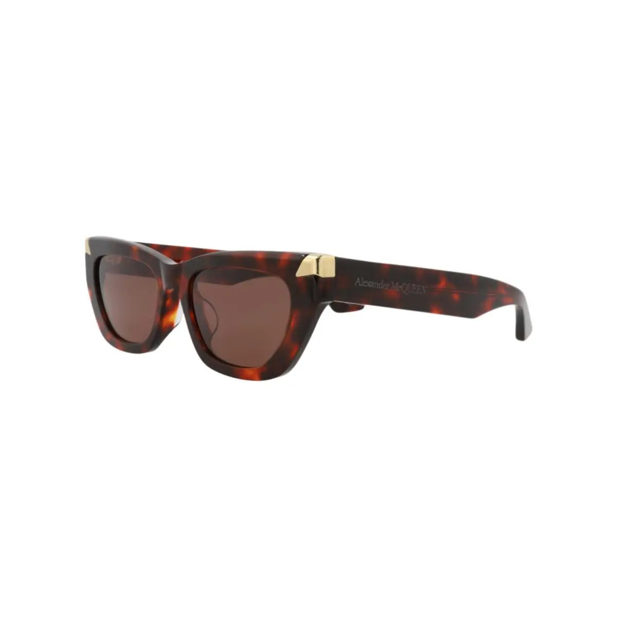 Alexander Mcqueen Women`s 53 mm Havana Sunglasses AM0440SA-30015178-003