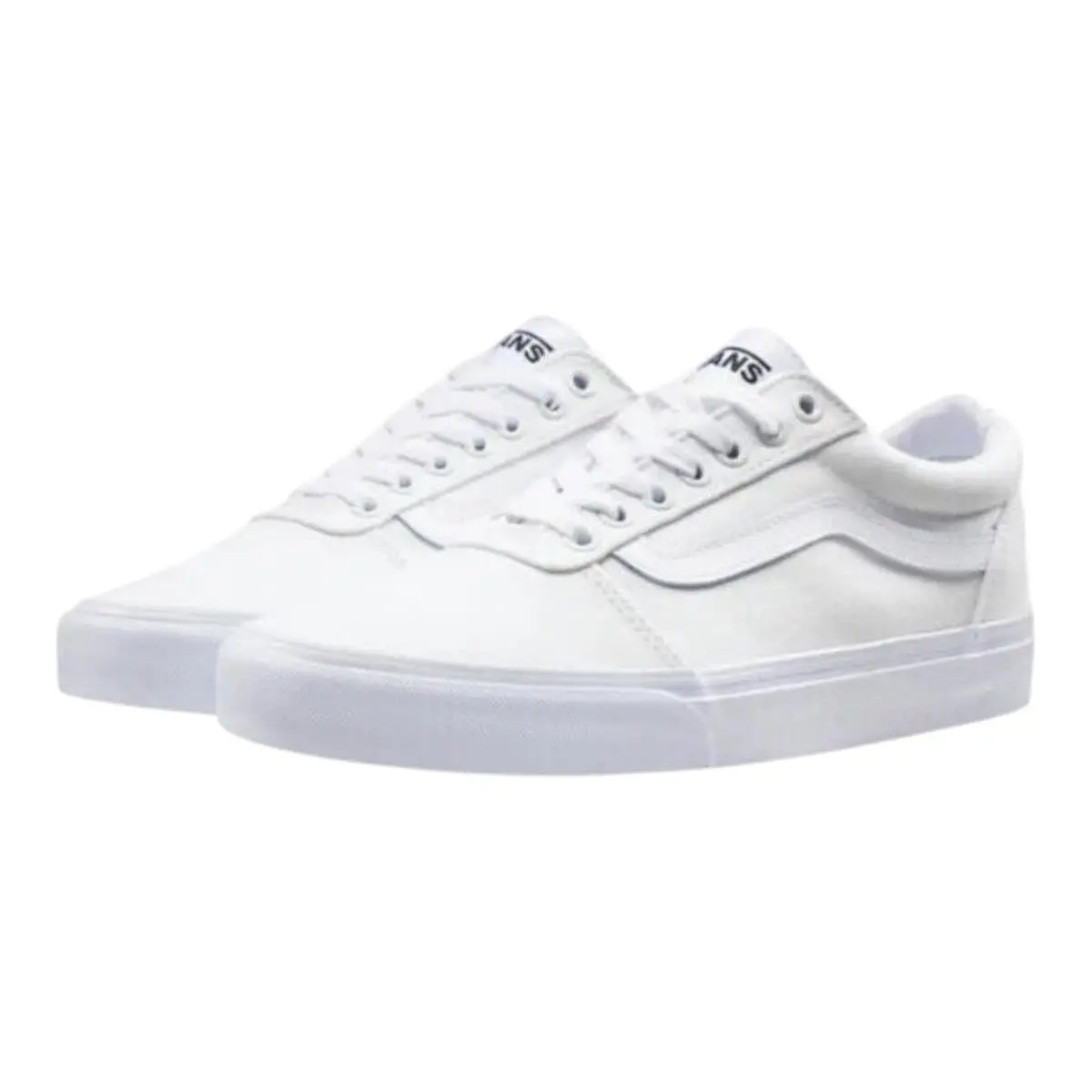 Vans Ward Sneaker in True White Canvas Men Low-top - True White