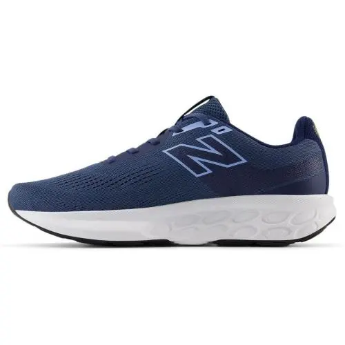 New Balance shoes - New Balance Fresh Foam 520 v9 - M520L09 - Blue/Blue 1