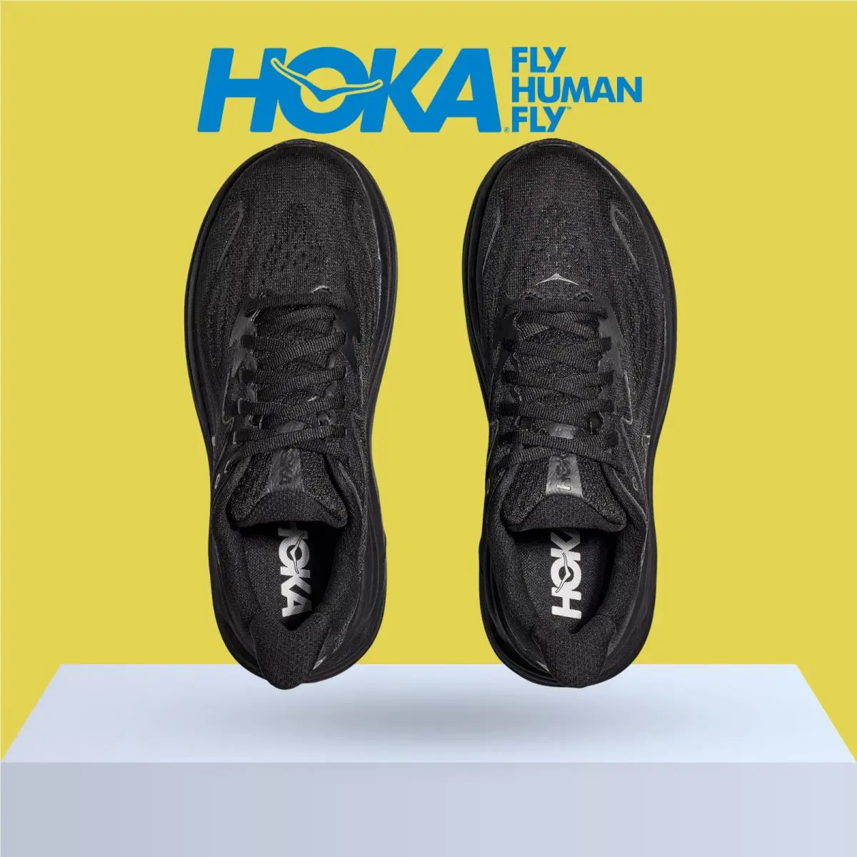 Hoka shoes - Hoka One One Clifton 10 - Alpine Blue/Foggy Night 47