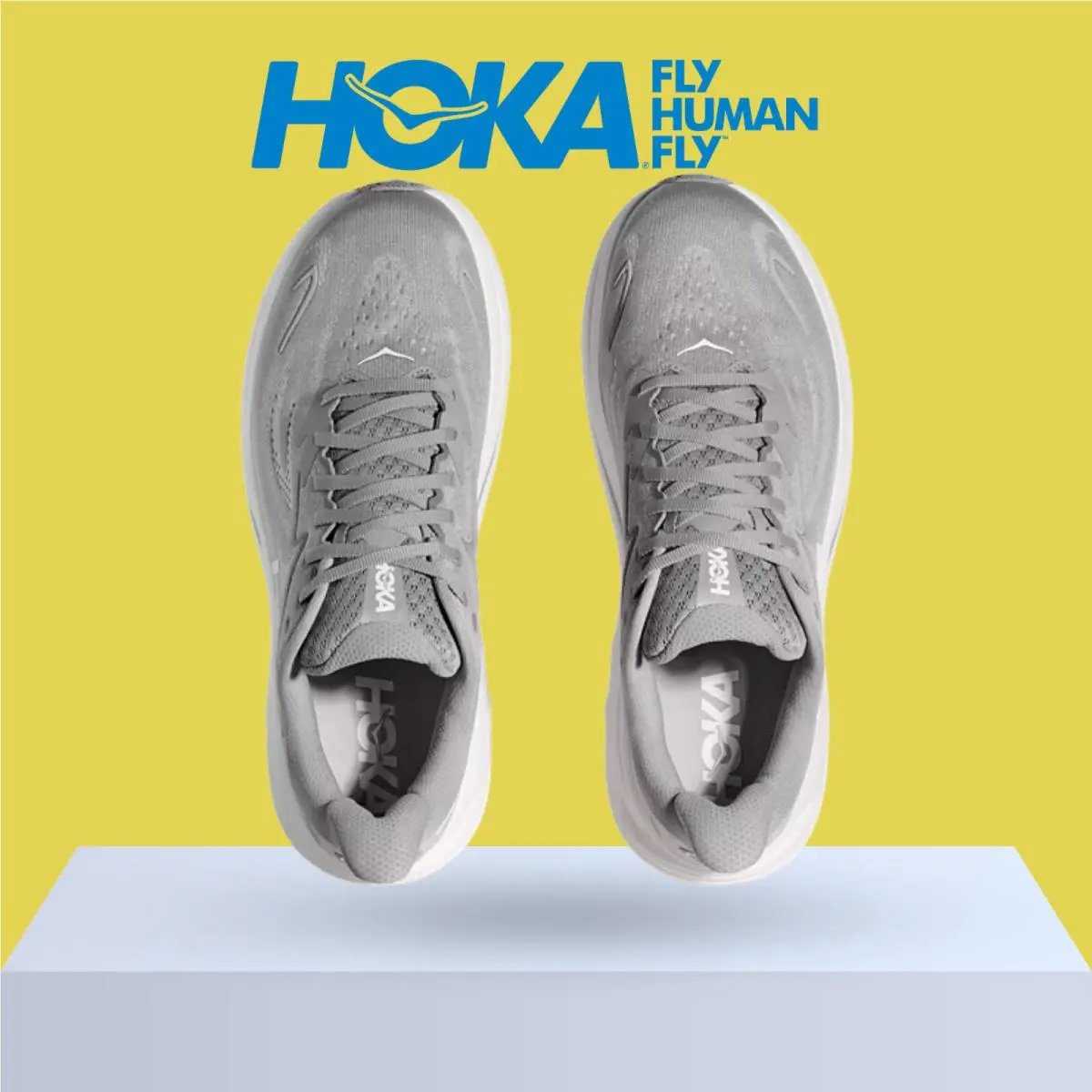 Hoka shoes - Hoka One One Clifton 10 - Alpine Blue/Foggy Night 42