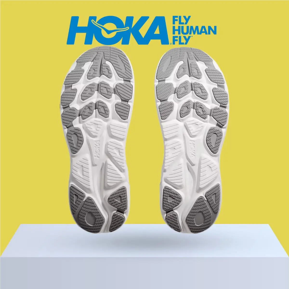 Hoka shoes - Hoka One One Clifton 10 - Alpine Blue/Foggy Night 43