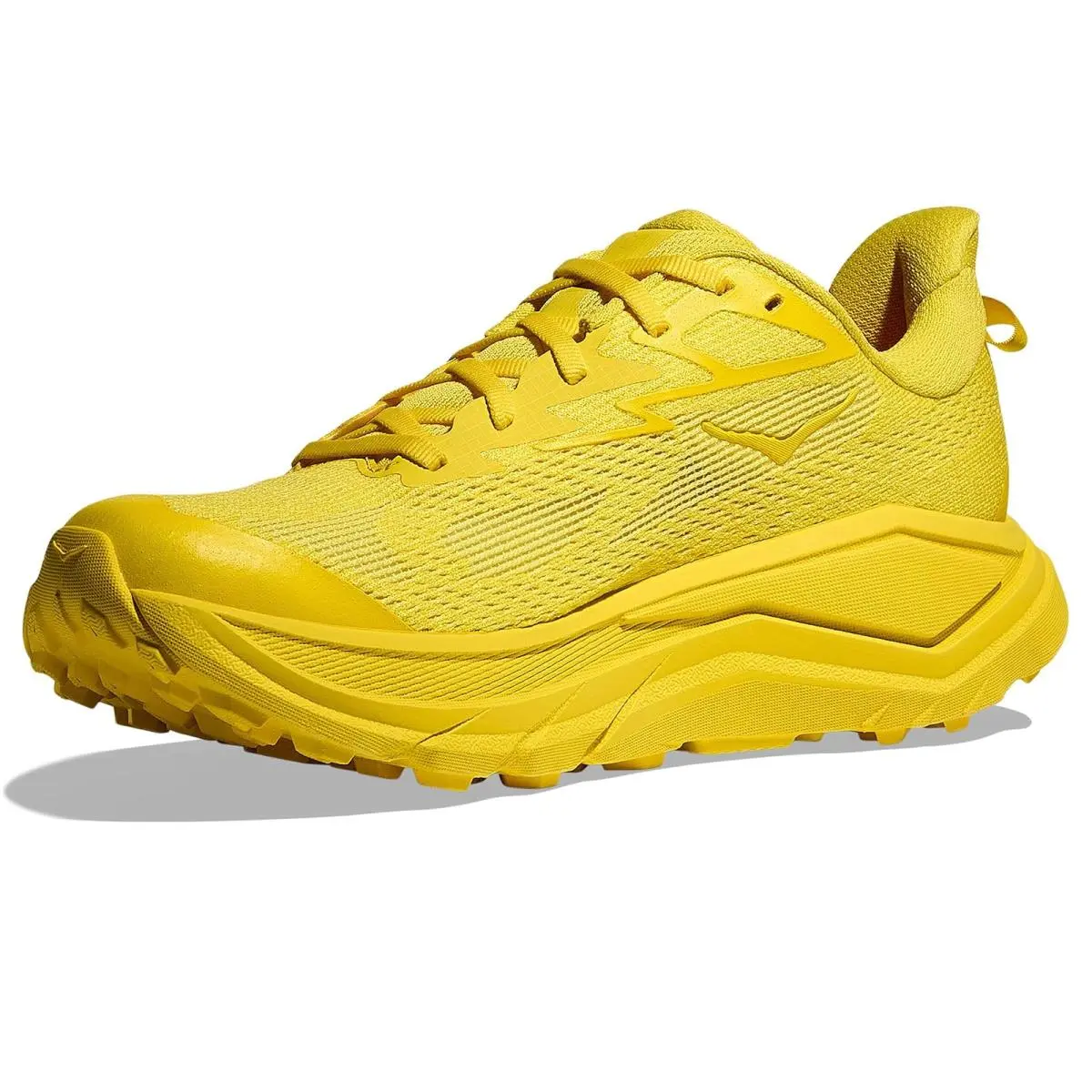 Hoka shoes - Ambient Blue/Blueberry 39