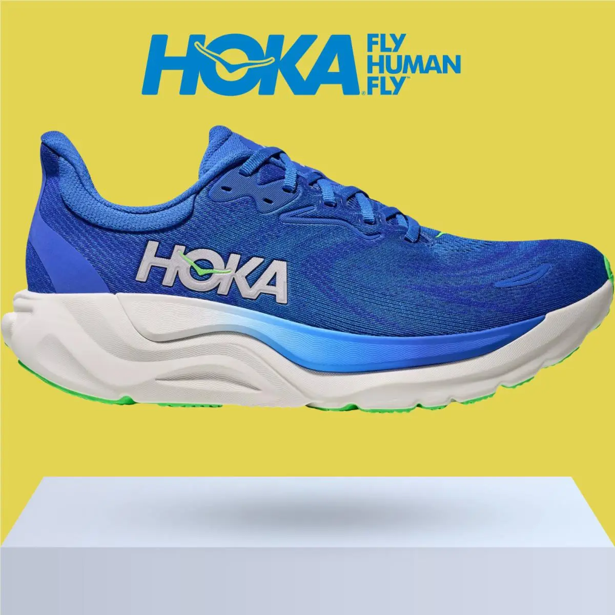 Hoka shoes - Hoka One One Arahi 8 - Asteroid/Silver 39