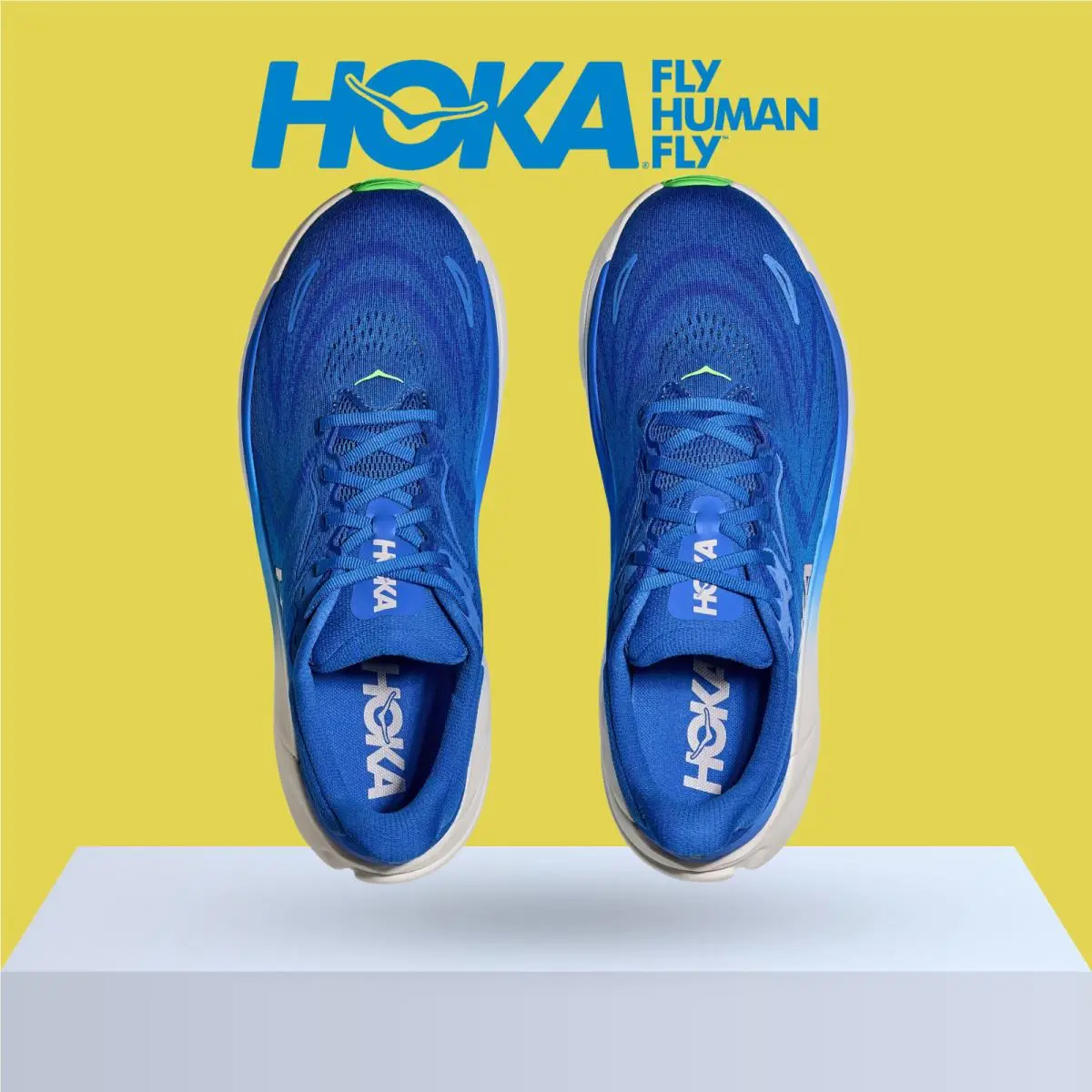 Hoka shoes - Hoka One One Arahi 8 - Asteroid/Silver 42