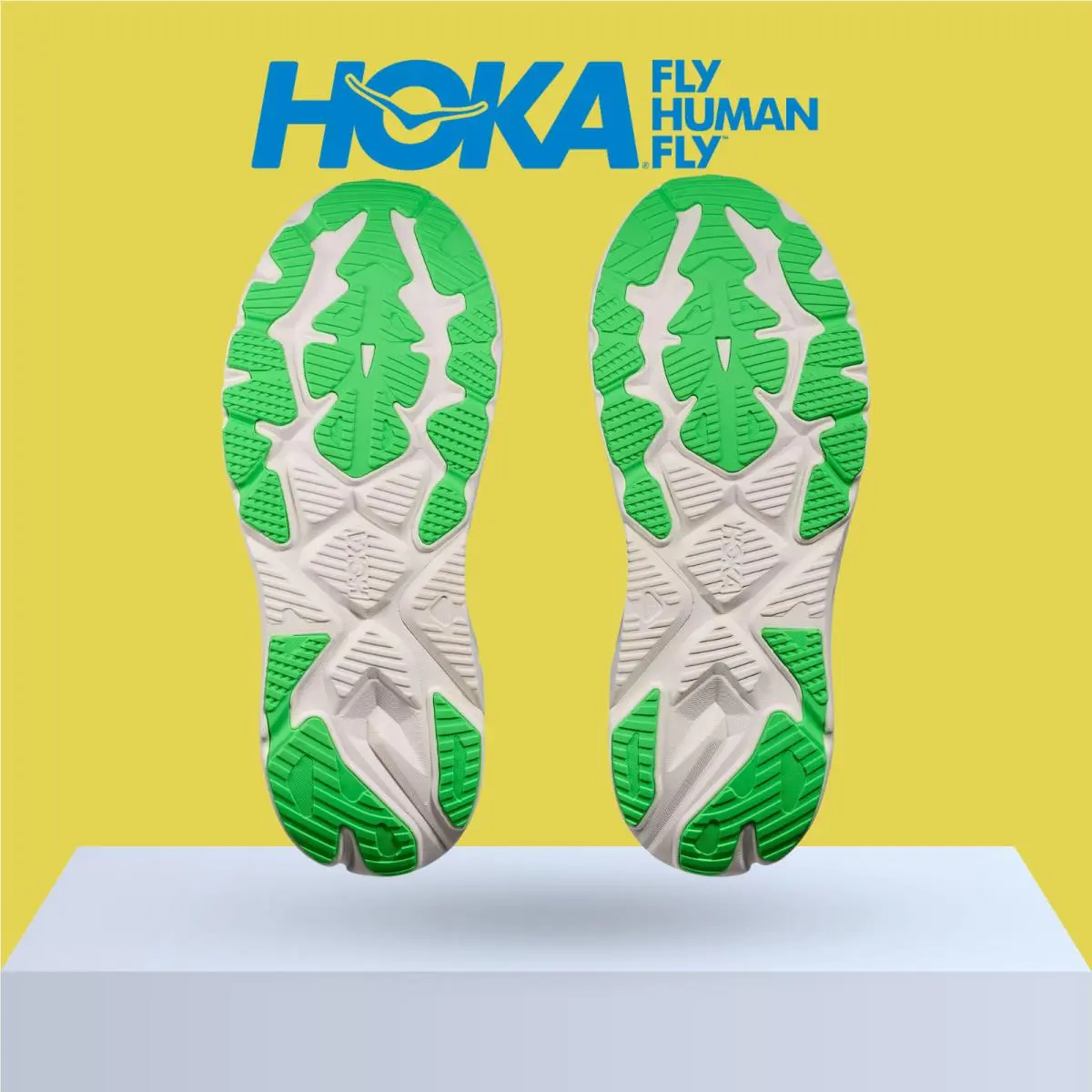 Hoka shoes - Hoka One One Arahi 8 - Asteroid/Silver 43