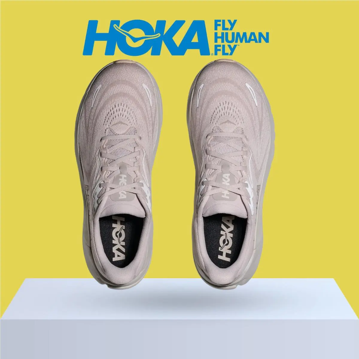 Hoka shoes - Hoka One One Arahi 8 - Asteroid/Silver 47