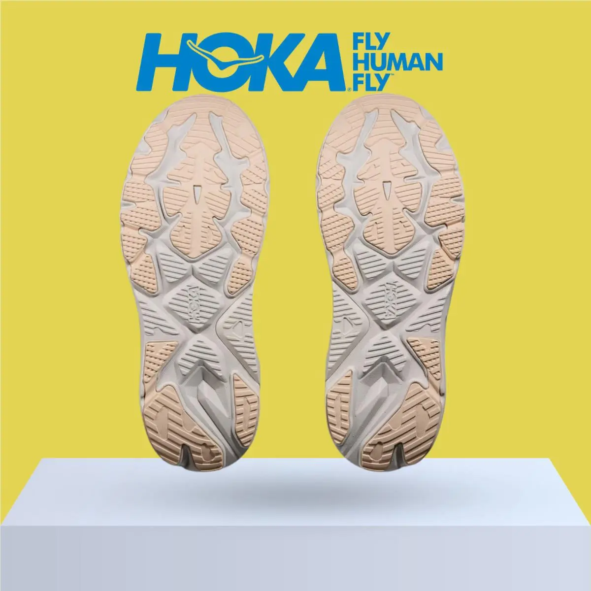 Hoka shoes - Hoka One One Arahi 8 - Asteroid/Silver 48