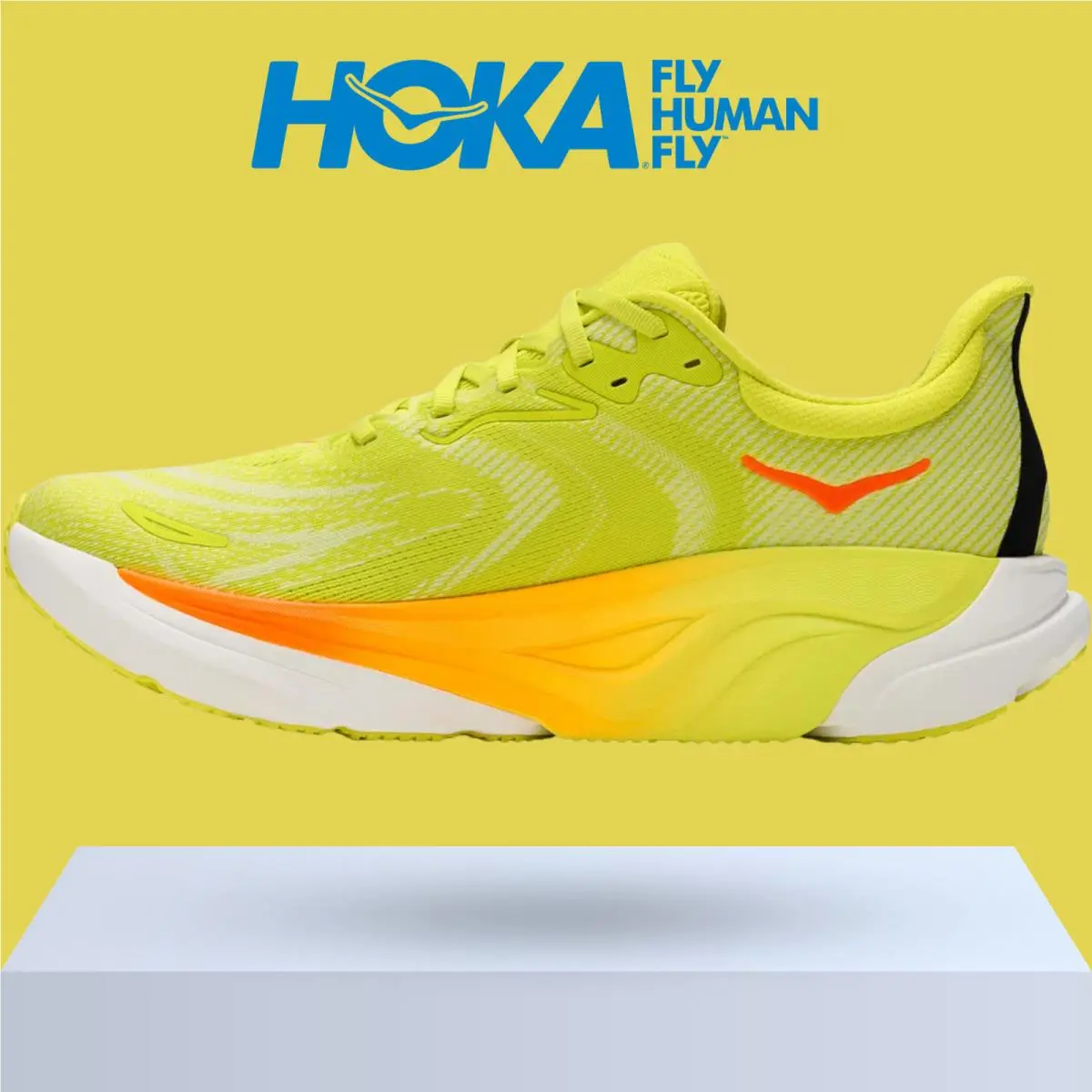 Hoka shoes - Hoka One One Arahi 8 - Asteroid/Silver 50