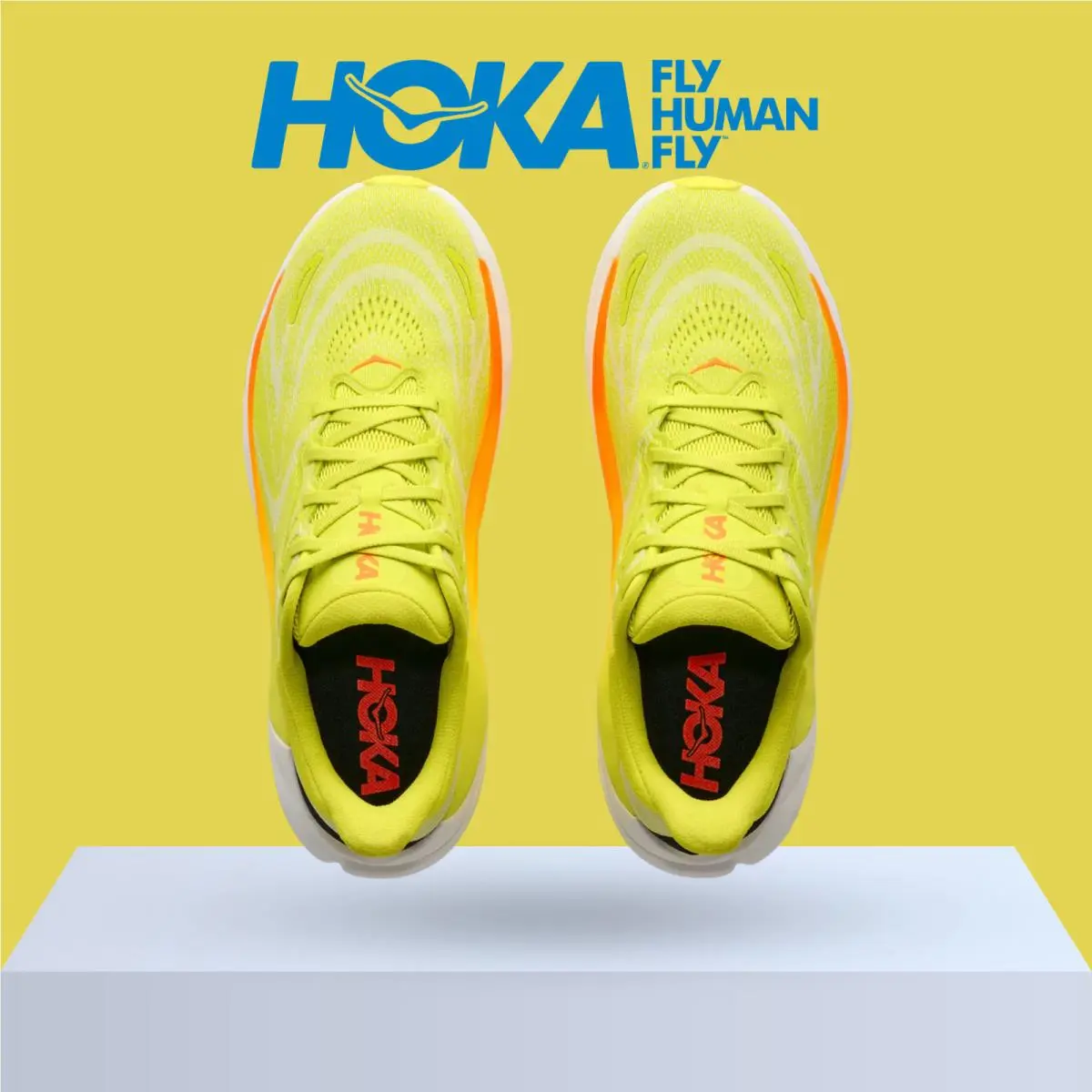 Hoka shoes - Hoka One One Arahi 8 - Asteroid/Silver 52