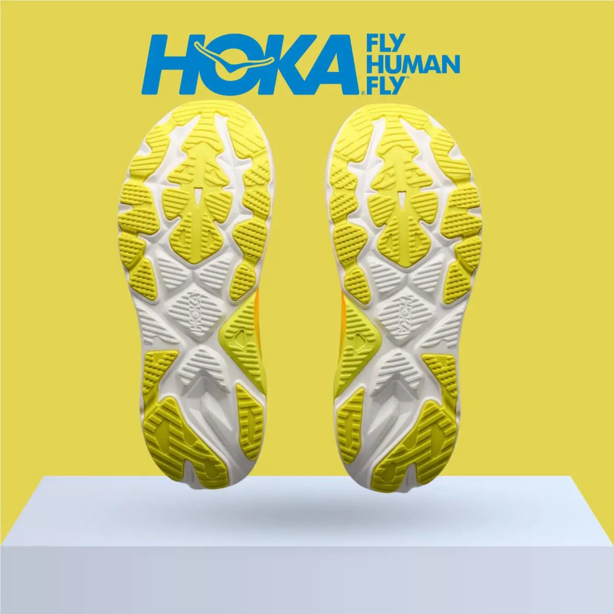 Hoka shoes - Hoka One One Arahi 8 - Asteroid/Silver 53