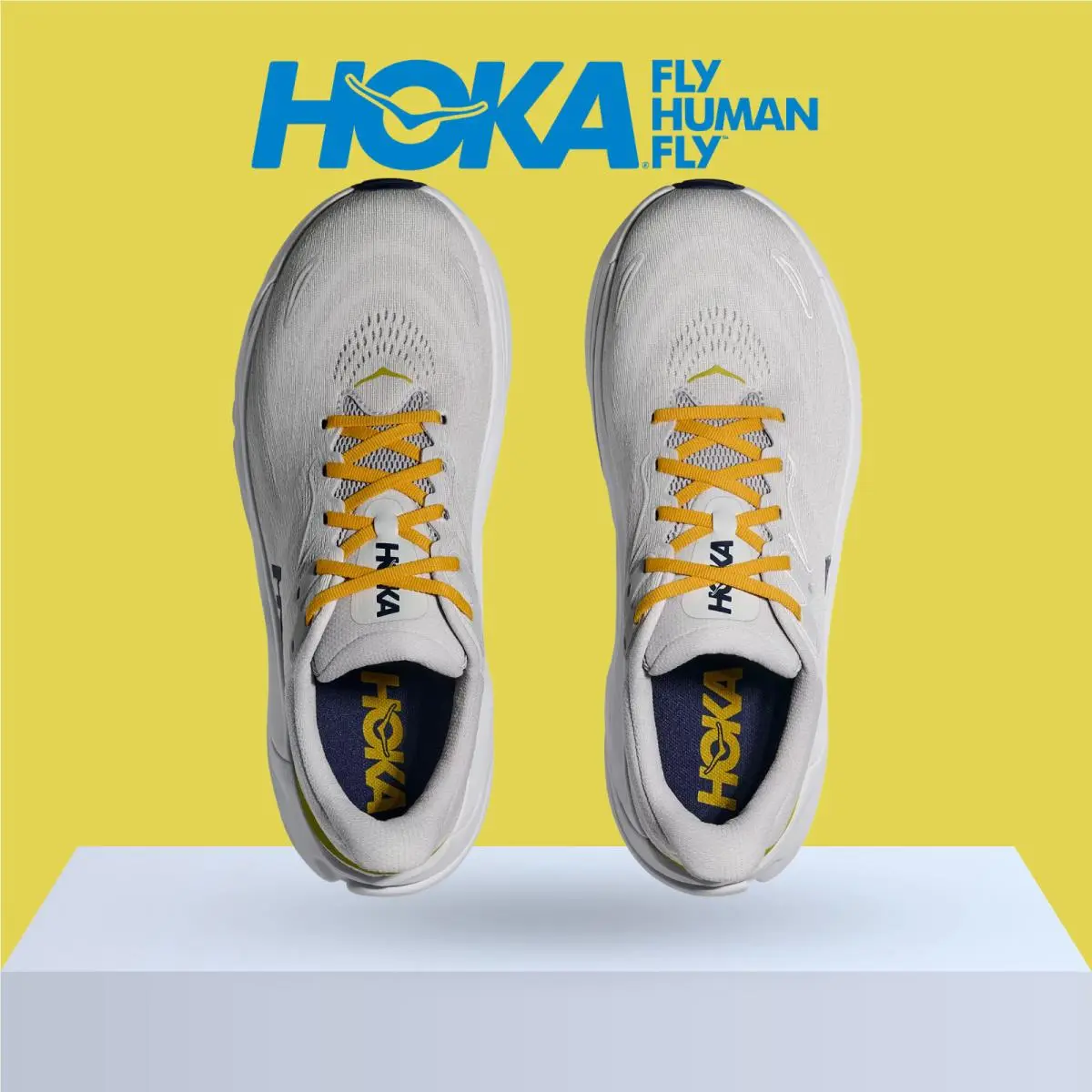 Hoka shoes - Hoka One One Arahi 8 - Asteroid/Silver 62