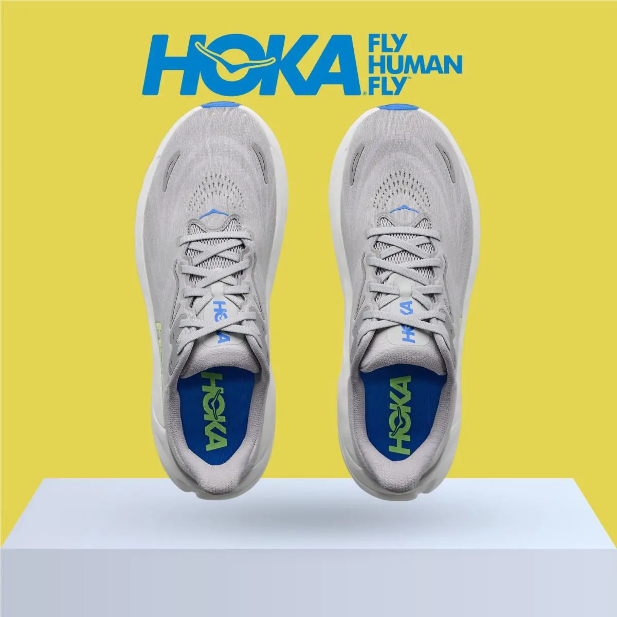 Hoka shoes - Hoka One One Arahi 8 - Asteroid/Silver 12