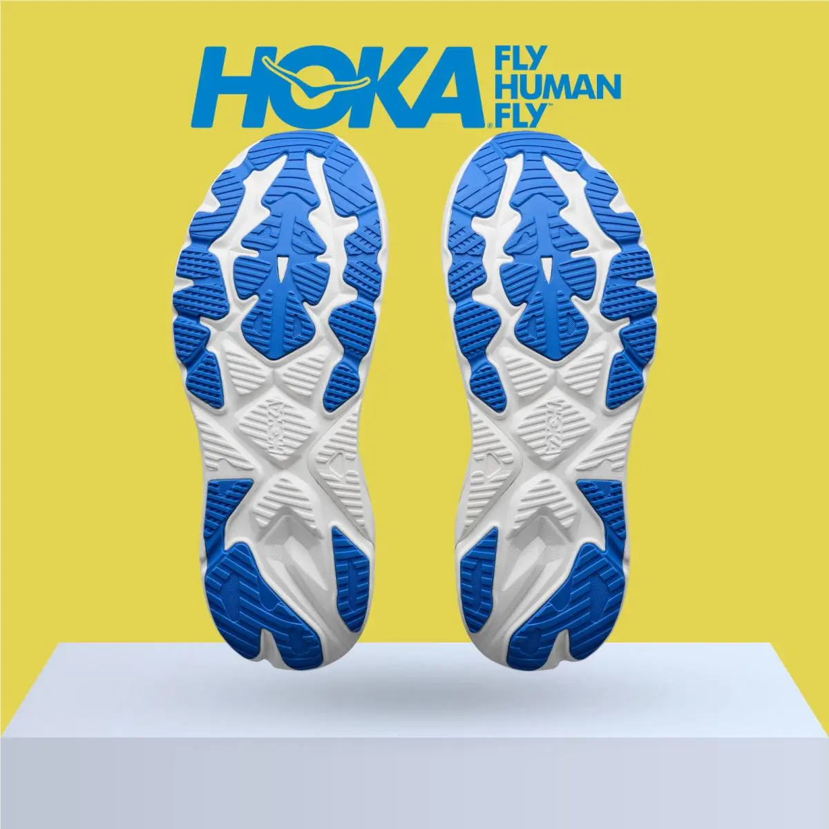 Hoka shoes - Hoka One One Arahi 8 - Asteroid/Silver 13