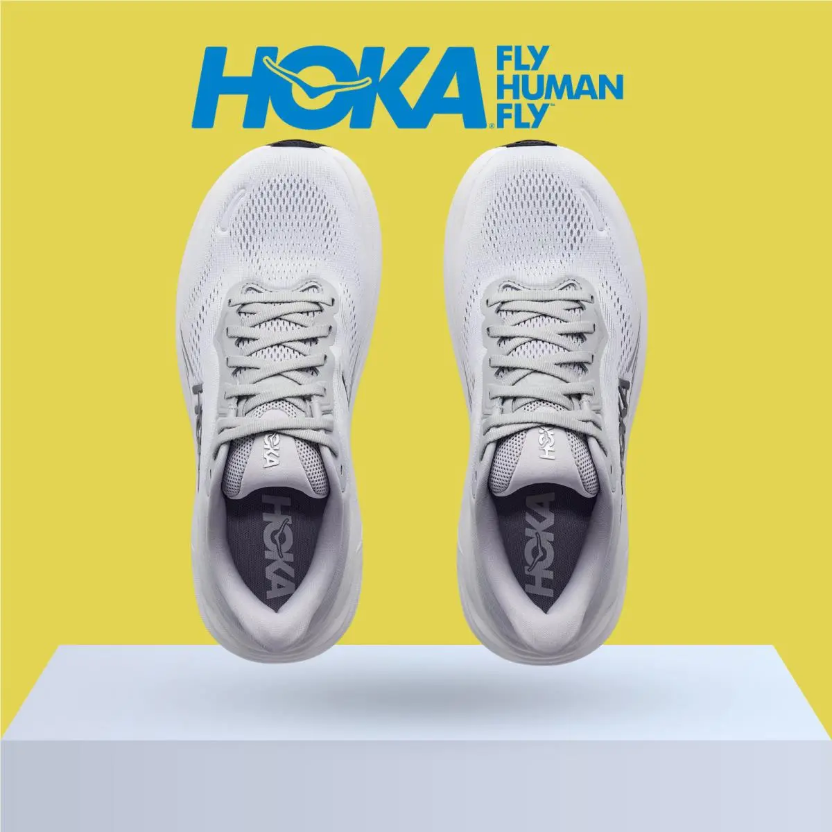Hoka shoes - Hoka One One Clifton 11 - Alabaster/Oat Milk 37