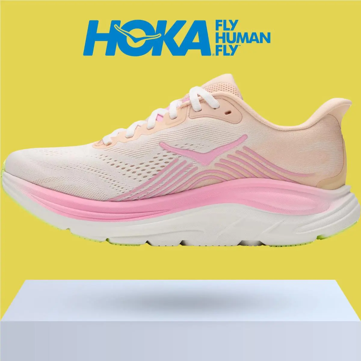 Hoka shoes - Hoka One One Clifton 11 - Alabaster/Oat Milk 45