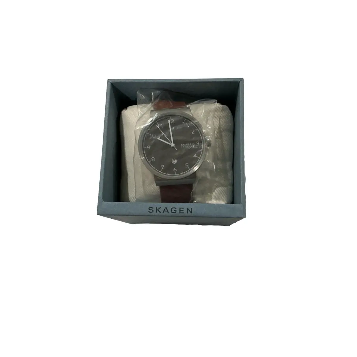 Skagen Round Dial Watch