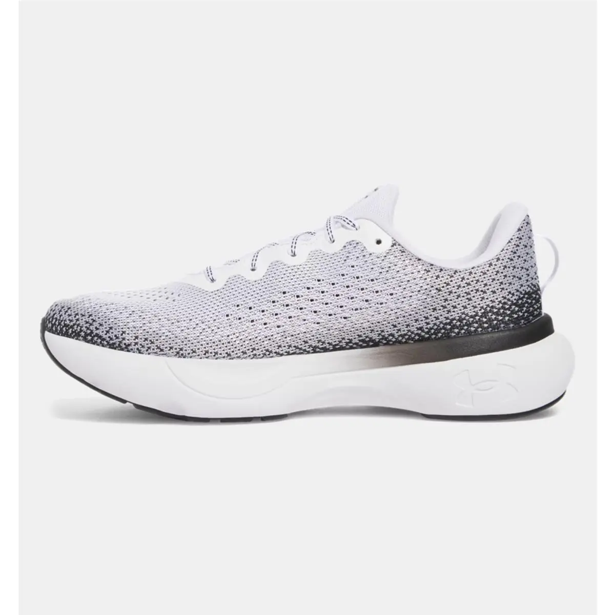 Under Armour shoes - Under Armour Infinite - Infinite - 3027523-109 - White / Black 1
