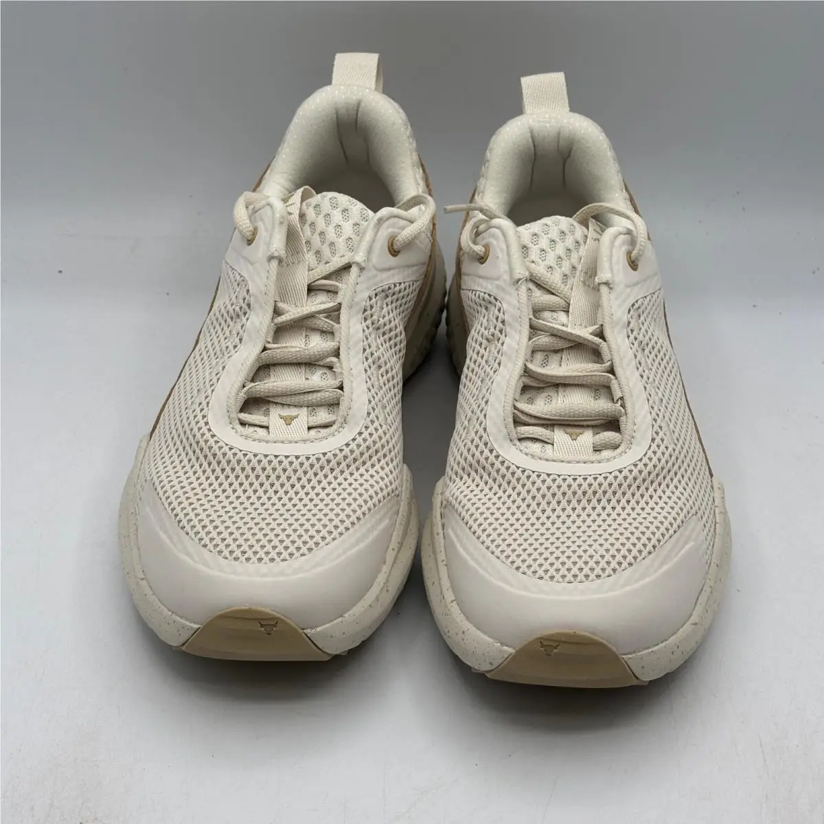 Under Armour shoes - Under Armour Project Rock BSR 5 - Brown 1
