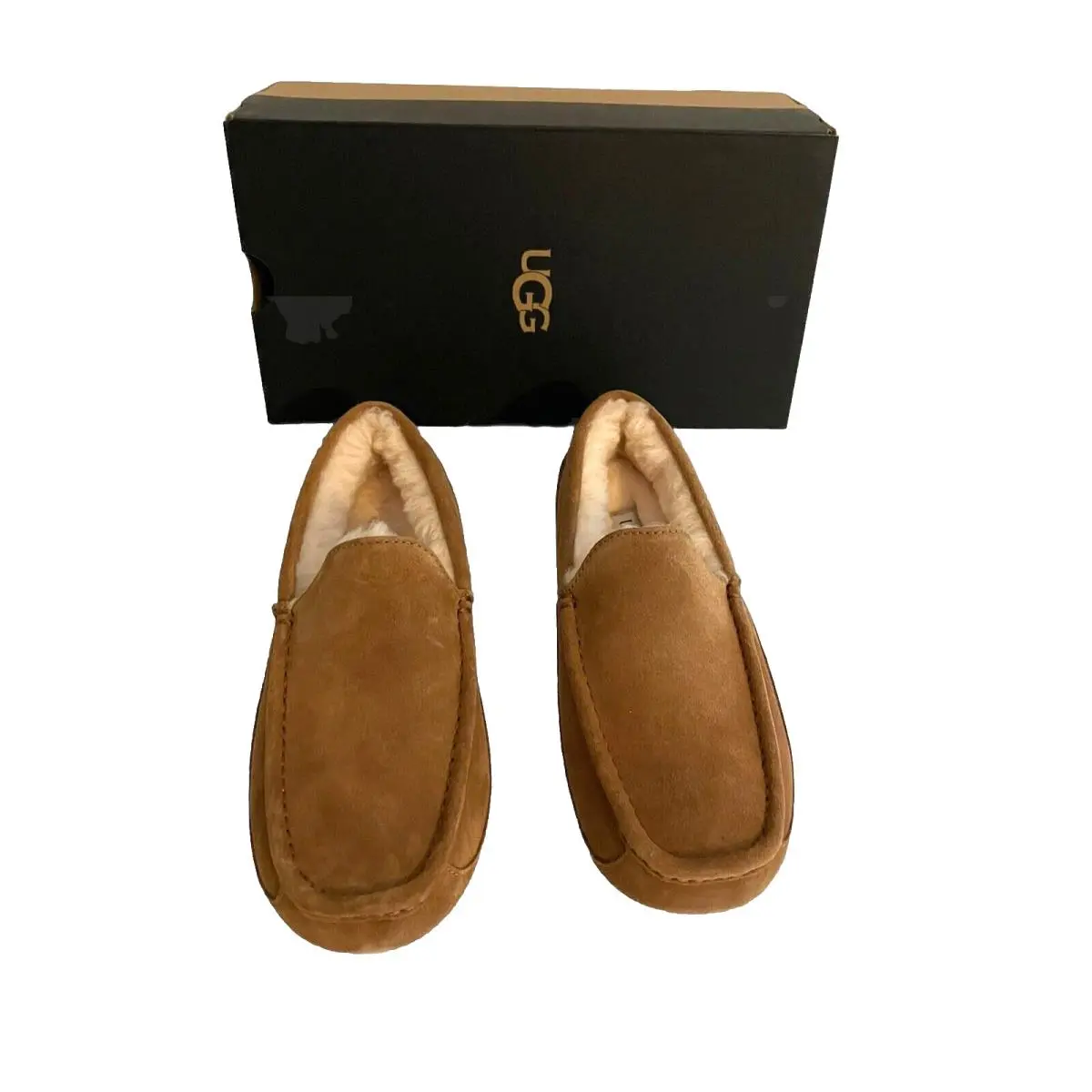 Ugg Mens Ascot Slippers Size 7 Chestnut Suede Sheepskin House Shoes Mocs