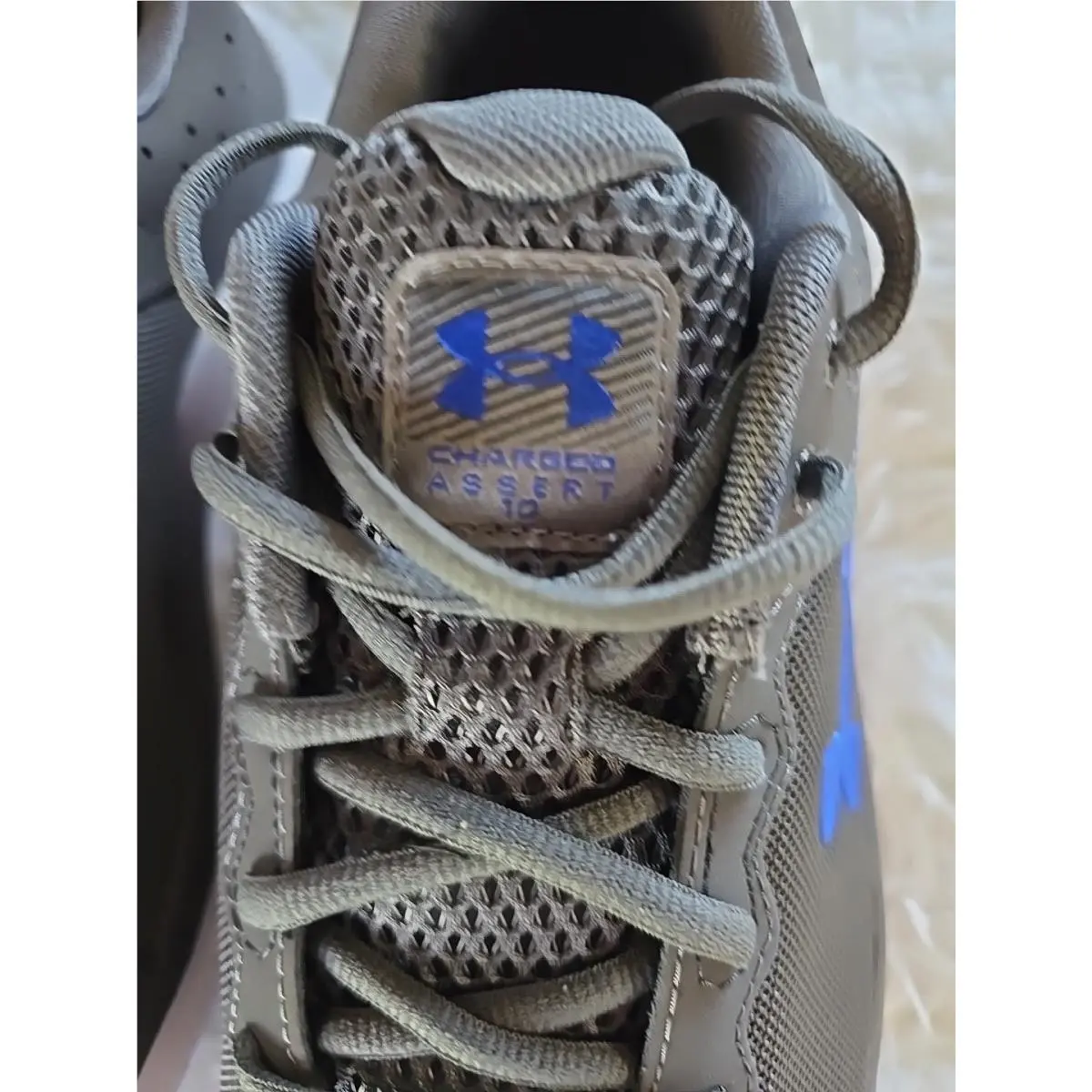 Under Armour shoes - Under Armour Charged Assert 10 - Gray 1