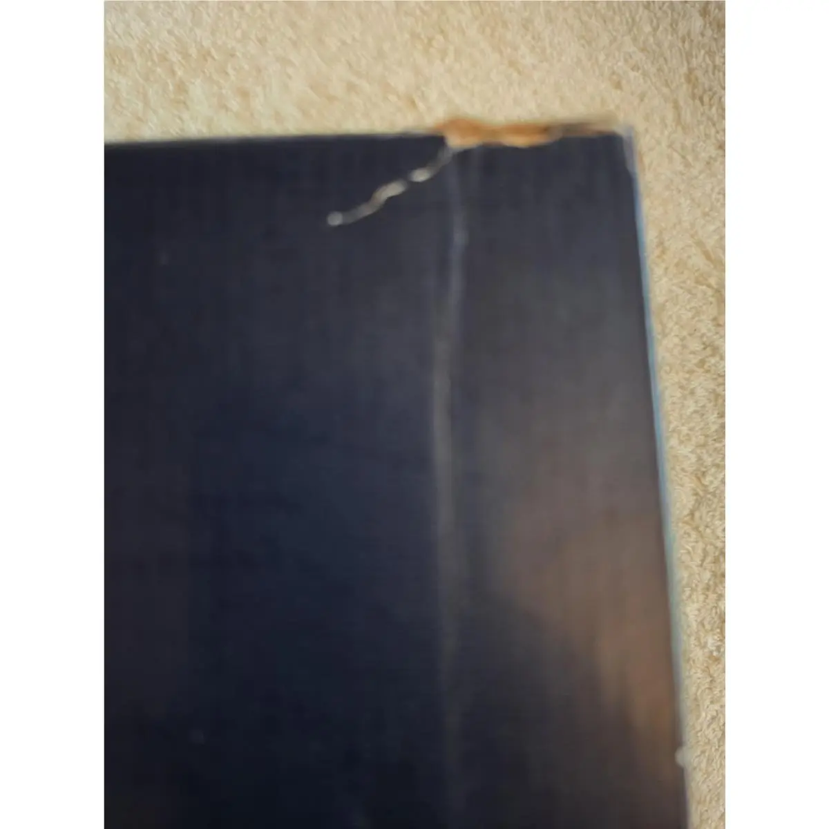 Reebok shoes - Reebok Work - Work - Black 5