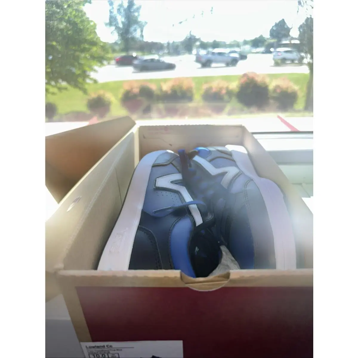 Vans shoes - CC - VN0A4TZYK551 - Blue, Manufacturer: Black/True White 0