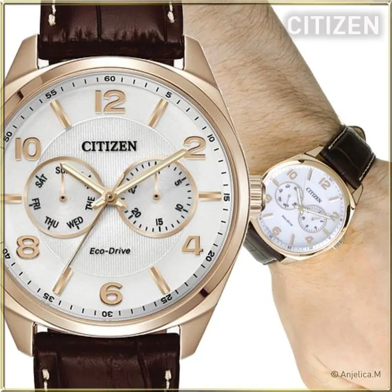 Citizen Corso Eco-drive Rose Gold-tone Men`s Watch - Model: AO9023-19A