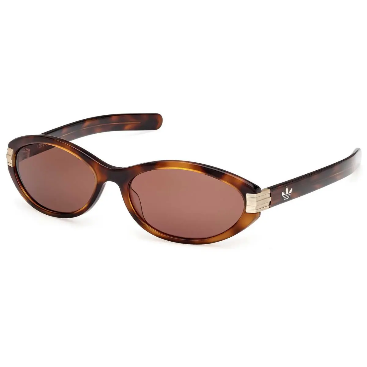 Adidas Unisex Sunglasses Dark Havana Acetate Oval Full Rim Frame OR0129 5952E