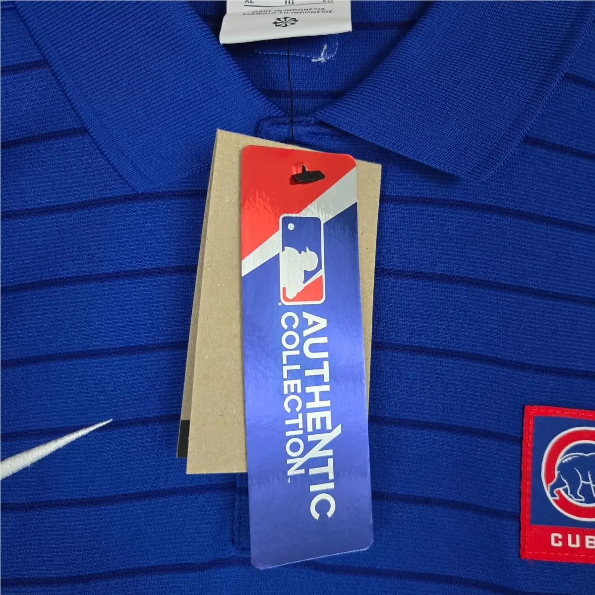 Nike clothing - Nike Dri-Fit - Blue 5