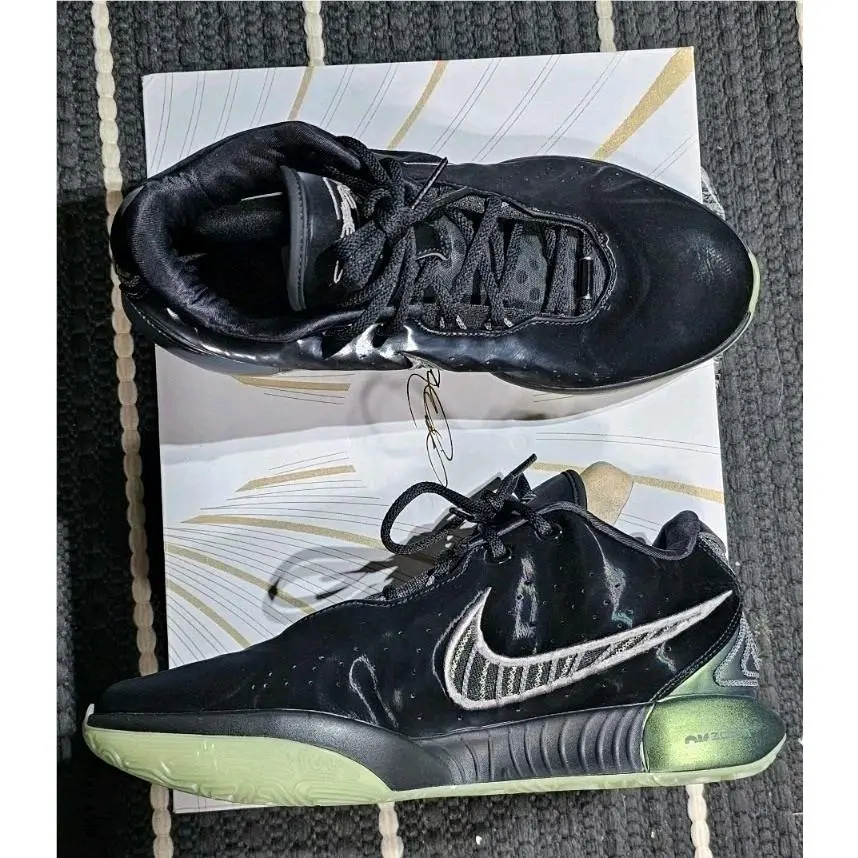 Nike shoes - Nike Zoom LeBron - Zoom LeBron - Black, Green 10
