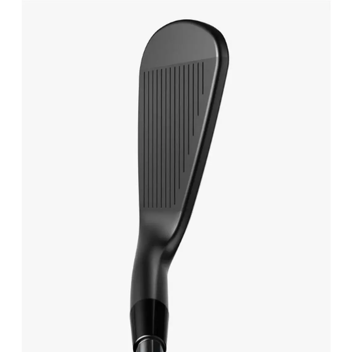 Cobra  - King Tour Black (2024) - King Tour Black - Black 0