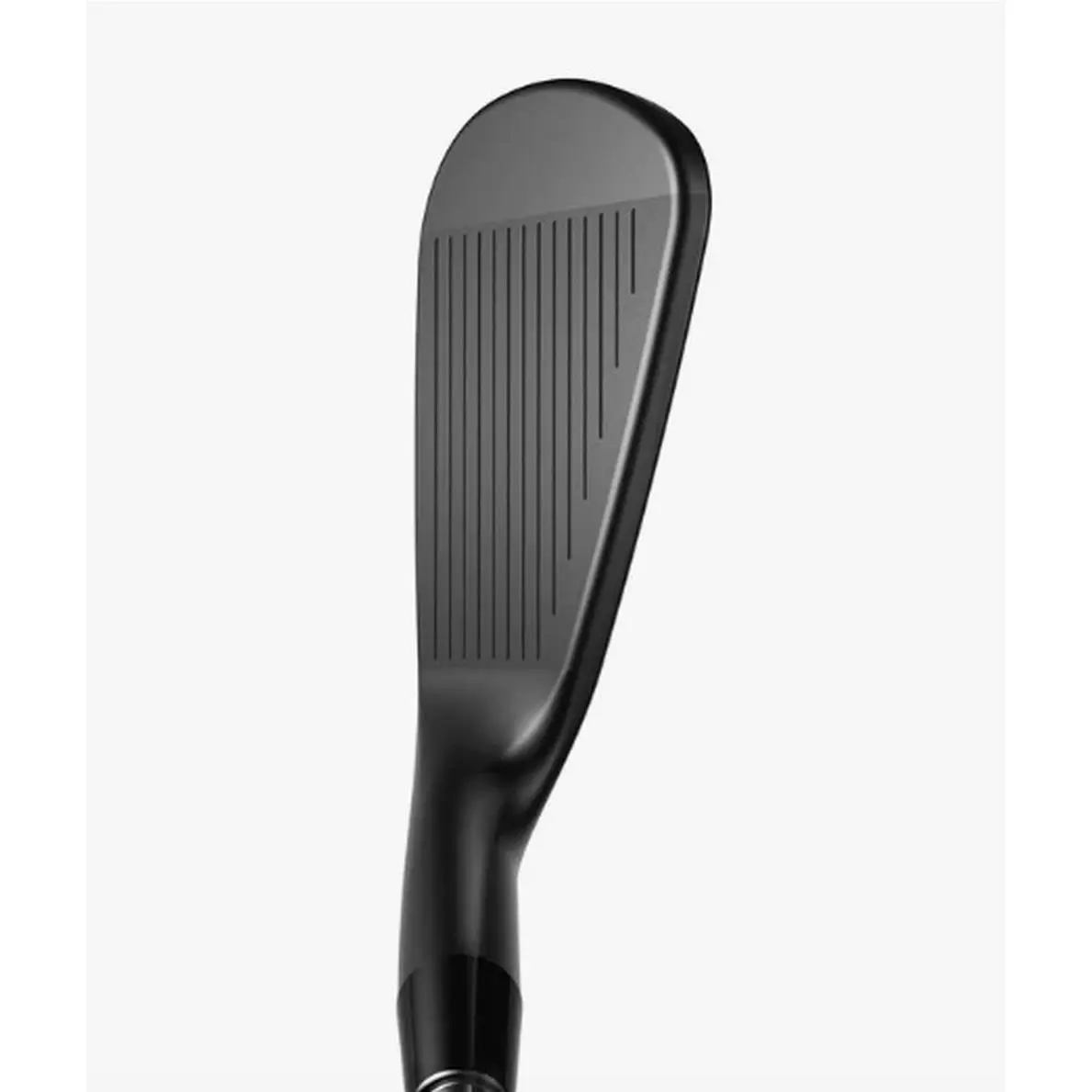 Cobra  - King MB Black (2024) - King Black - Black 1
